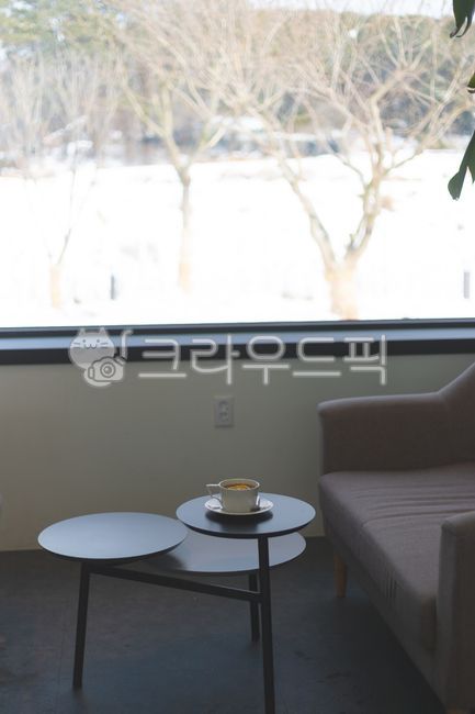 coffee table,coffeetable,couch,plate,inside,bowl,room,building,furniture,living room,livingroom,indoors,table,cup,architecture