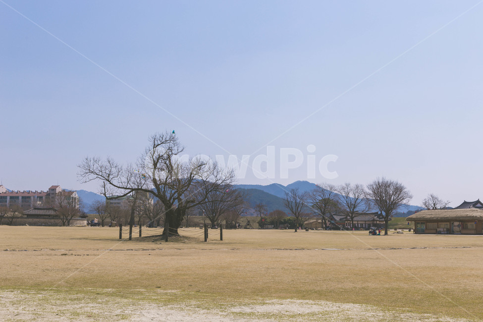 해미읍성,한옥마을,민속마을,outdoors,자연,옥외,field,들,nature