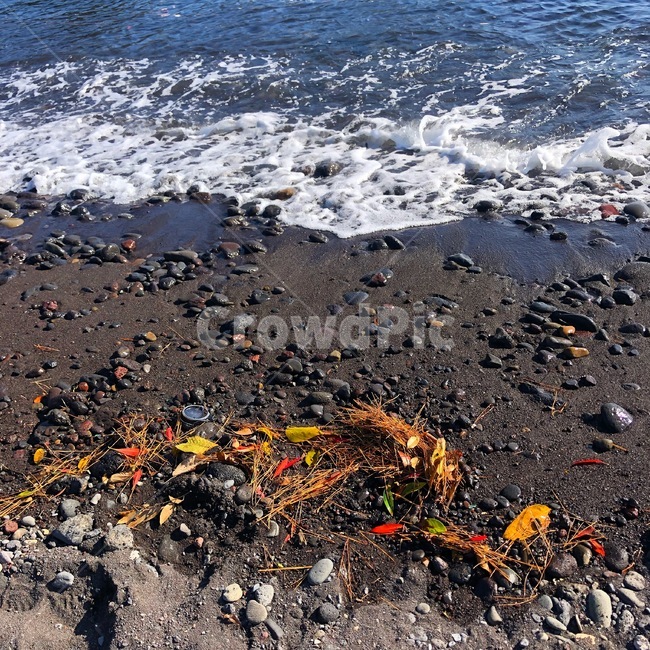 낙엽,모래,자갈,바다,해수욕장,해변,파도,바닷가,가을,fall,maple,단풍,sea,ocean,wave,beach,배경화면,가을바다,가을풍경,가을배경화면,해변,바다,beach,sea