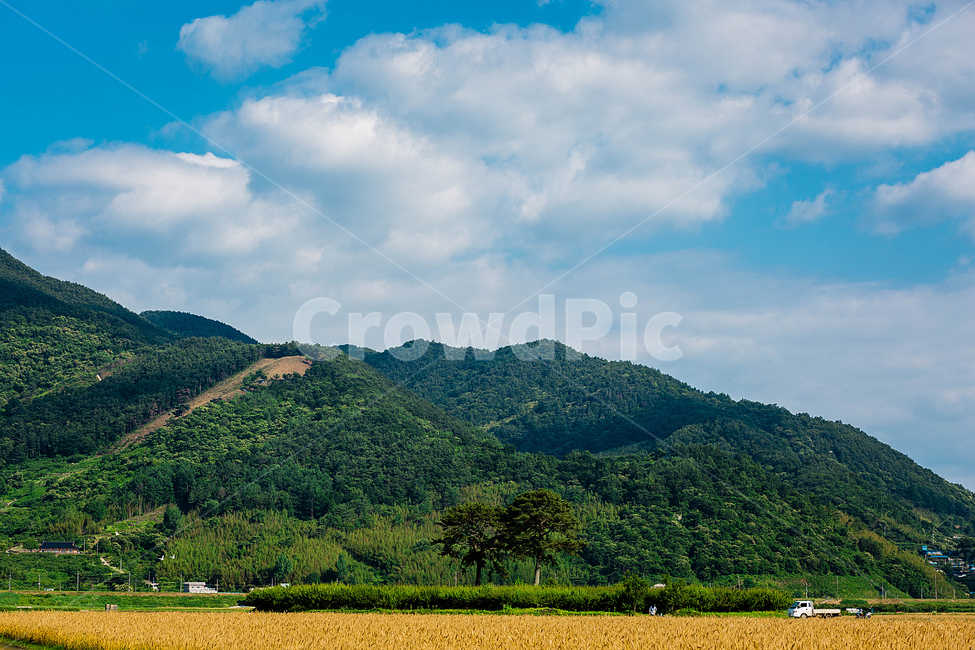 논,밭,농사,시골,구름,산,하늘,자연,풍경,nature,landscape,한국자연풍경,한국자연경관,korea nature landscape,outdoors,옥외