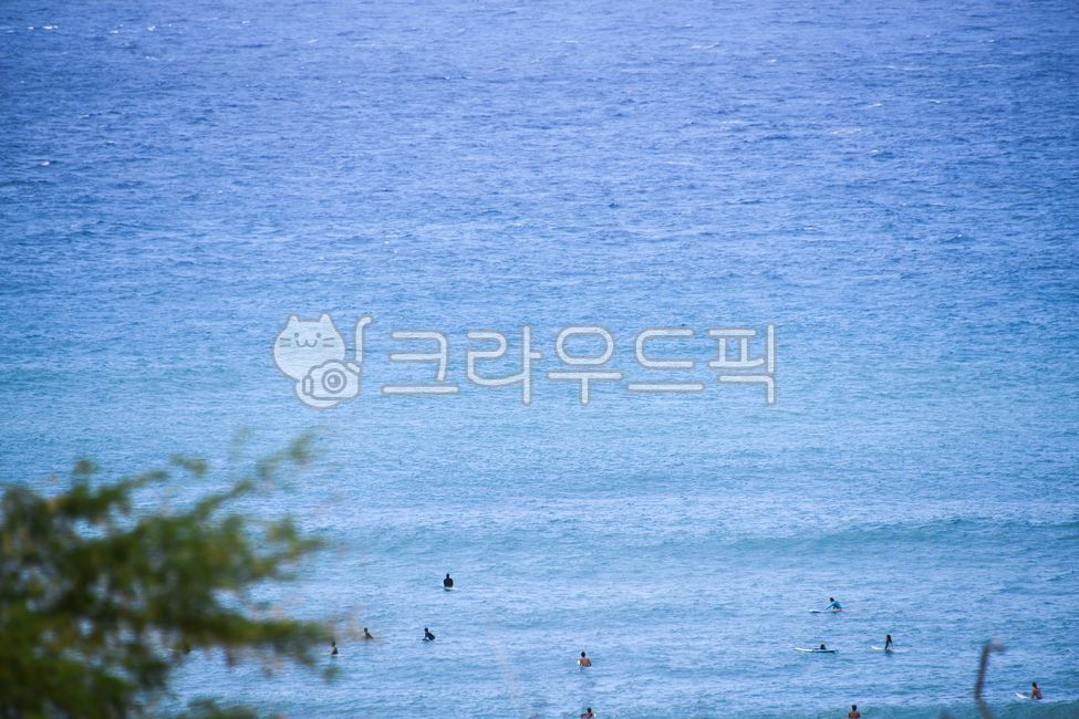 하와이,호놀룰루,서핑,서핑보드,파도타기,외국,해외,바다,수상스포츠,옥외,파도,사람들
