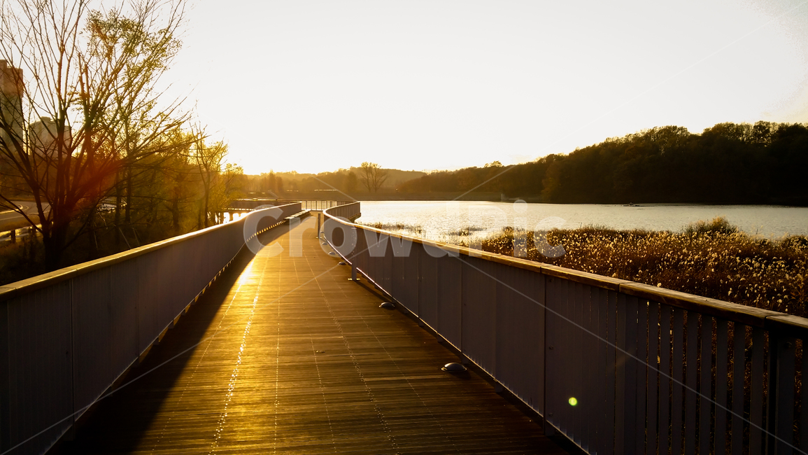 bridge,다리,boardwalk,산책로,호수,lake,자연,풍경,nature,landscape