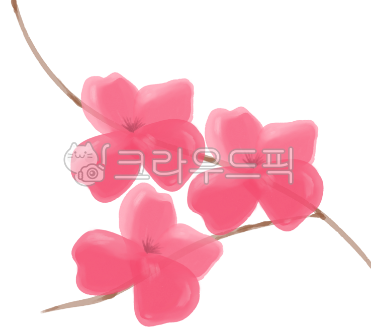 벚꽃,벚꽃일러스트,벚꽃그림,꽃그림,꽃일러스트,봄일러스트,사쿠라,flower,fleur,sakura,spring,sakuradrawing,sakuraillustration