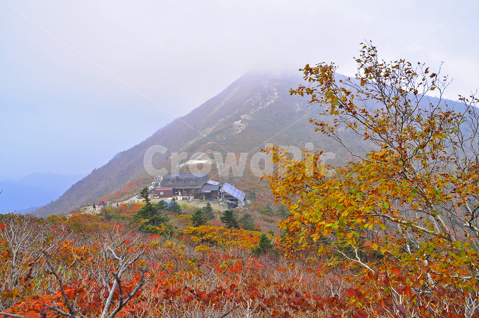 가을,설악산,대청봉,중청봉,중청산장,단풍,가을배경,능선,국립공원,풍경,한국풍경,한국자연경관,가을산,nature,자연,outdoors,옥외,10월,seoraksannationalpark,봉우리,산정상,nationalpark,mountain,산,maple,강원도,배경,바탕,백그라운드,background,fall,autumn,season,시즌,계절,plant,tree,등산로,산책로,운무,산장,단풍나무,가을,계절,fall,autumn,season,자연,풍경,nature,landscape,mountain range,산맥