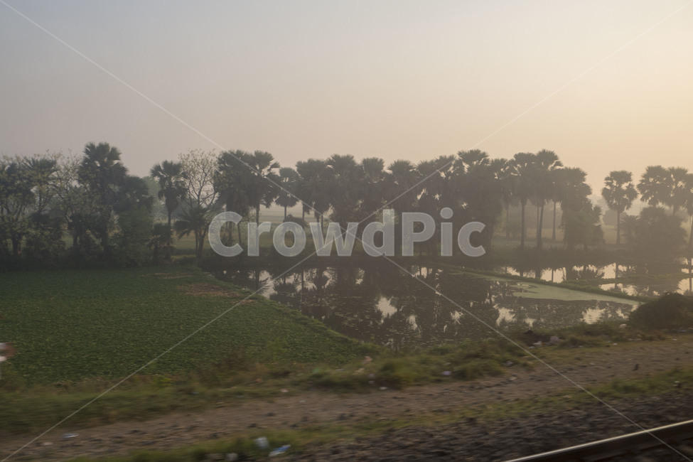 인도,india,varanasi,바라나시,농촌,countryside,기찻길,railway,안개,새벽,dawn,자연,풍경,nature,landscape,해외,외국,세계,foreign,oversea,world,세계자연풍경,해외자연풍경,외국자연풍경,world nature landscape,weather,날씨,outdoors,옥외
