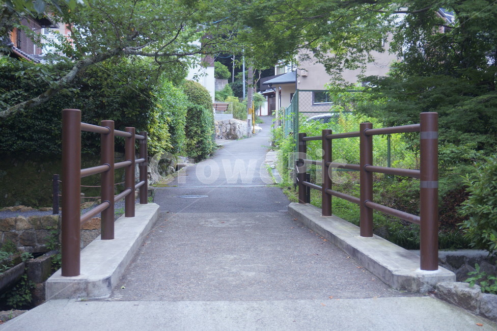 일본,다리,거리,자연,깨끗함,japan,철학의길,자연,풍경,nature,landscape,garden,정원,outdoors,옥외,arbour,정자