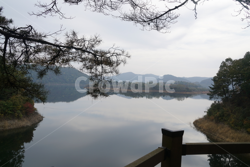 호수,담수호,저수지,호수공원,수변로,풍경,경치,water,물,nature,자연