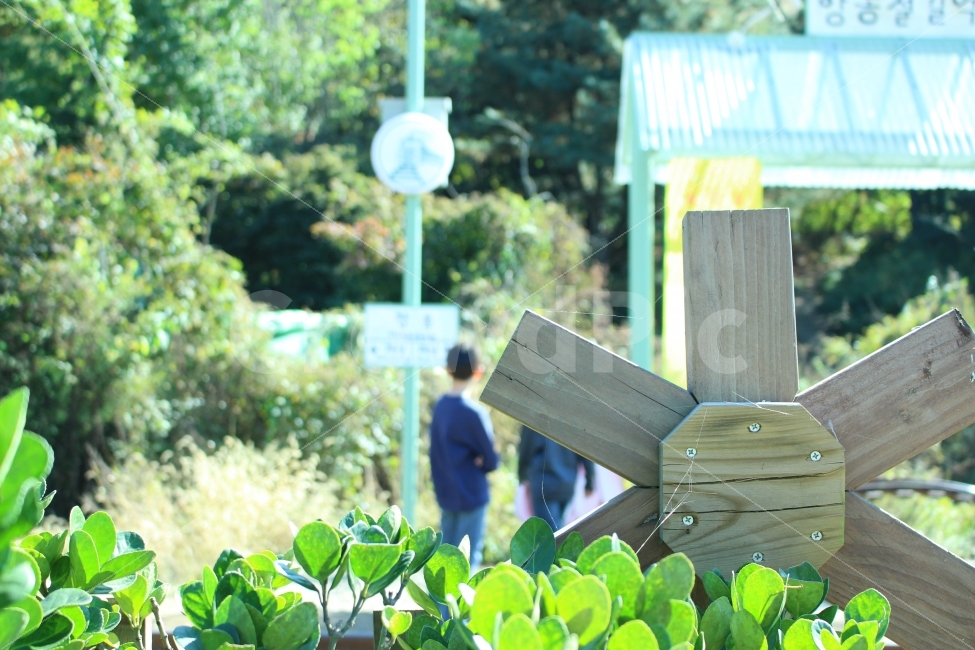 항동철길,푸른수목원,공원,자연,출사,풍경,가을,사람