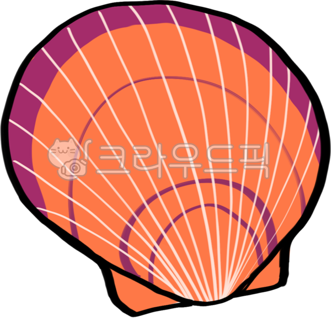 Scallop,scallop illustration,clam,clam illustration,clam,clamillustrate,scallop,scallopillustrate,seafood,seaweed,seafood illustration,seafood,seafoodillustrate