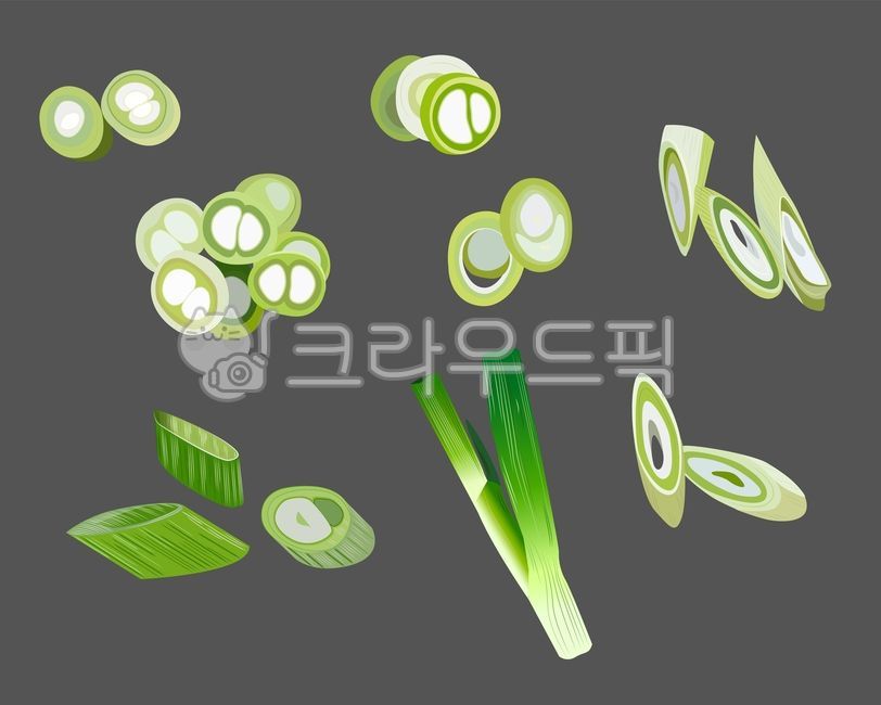 파,대파,야채,vegetable,welshonion,food,음식,plant,식물,썬파,다진파,식재료,음식재료,springonion,어슷썬파,파일러스트,대파일러스트