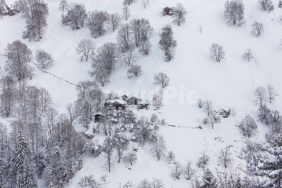 알프스산맥,스위스,겨울,눈,산,숲,구름,나무,겨울,계절,winter,season,자연,풍경,nature,landscape,해외,외국,세계,foreign,oversea,world,세계자연풍경,해외자연풍경,외국자연풍경,world nature landscape,snow,outdoors,옥외,storm,폭풍,blizzard,눈보라