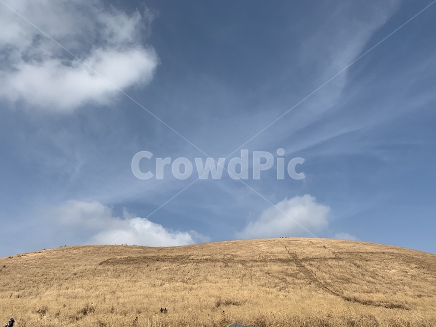 들,field,제주,제주도,오름,새별오름,겨울제주