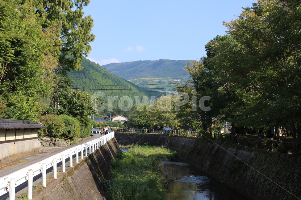일본,다리,bridge,나무,유후인,시즌,season,fall,산,힐링,감성,시골,평온,평화,초록,그린,여름,가을,자연,자연,풍경,nature,landscape,outdoors,옥외,ditch,도랑,water,물