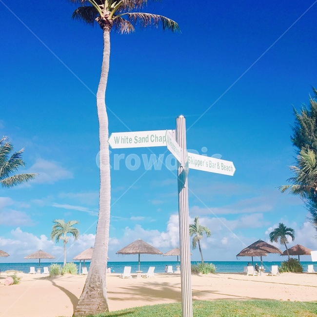 사이판,바다,휴양지,파랑,하늘,saipan,blue,sky,island,표지판,열대수,sign,해변,바다,beach,sea