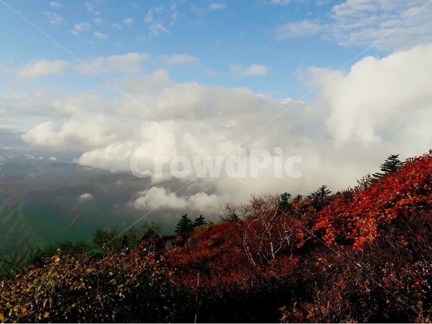 설악산,한국의산,설악산국립공원,공룡능선,천불동계곡,한국의가을,단풍,구름,한국의산하,아름다운산,바위,암봉,가을,계절,fall,autumn,season,자연,풍경,nature,landscape,한국자연풍경,한국자연경관,korea nature landscape,weather,날씨,cloud,cumulus,적운,outdoors,옥외,sky,하늘