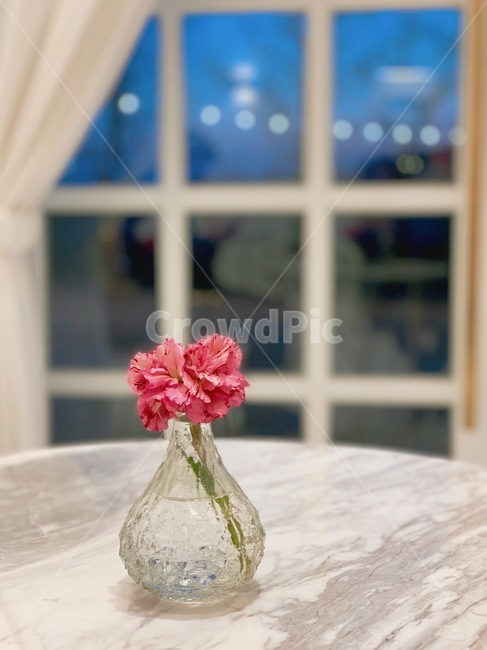 인테리어,카페,꽃,꽃병,interior,cafe,flower