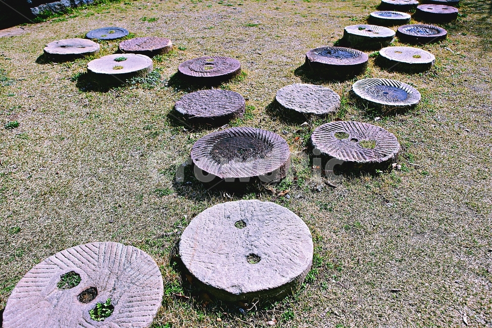돌길,길,식물,자연,배경,풍경,자연,풍경,nature,landscape,ground,바닥
