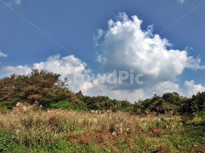 토산리,올레4코스,올레길,제주,서귀포시,푸른하늘,흰구름,자연,풍경,nature,landscape,weather,날씨,outdoors,옥외,cumulus,적운,cloud,구름,sky,하늘