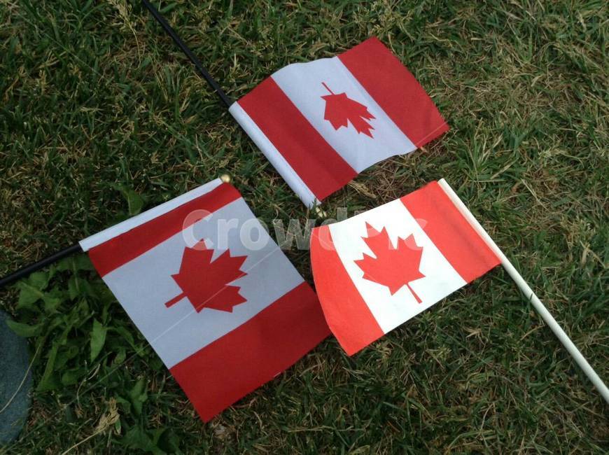 warhol,Canada,working holiday,canada flag,Maple