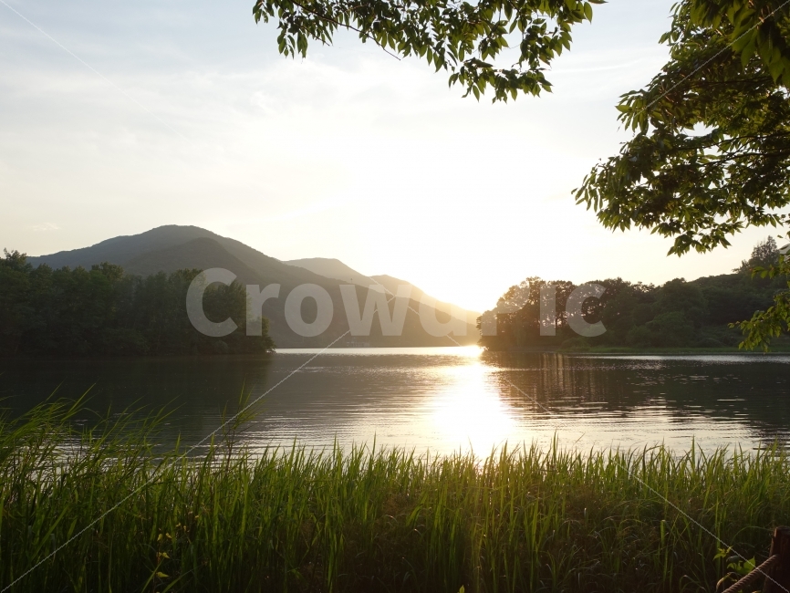 풍경,풍경사진,바탕화면,해질녘,감성,스냅사진,강원도,하늘,물,자연,풍경,nature,landscape,휴식,힐링,rest,relaxation,healing,flare,플레어,light,빛,sunlight,햇빛