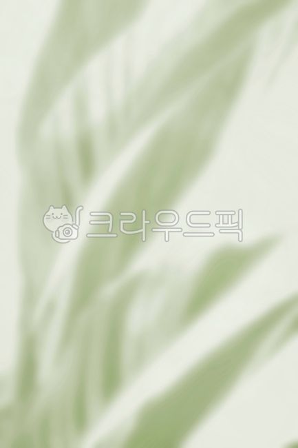 elegance,luxury,backdrop,background,leaf,tree,nature,spring,plant,branch,foliage,summer,sun,growth,new,discoloration,close-up,fresh,lush,green,garden,season,tropical,frond,texture,botany,grass,natural,stem,field,macro