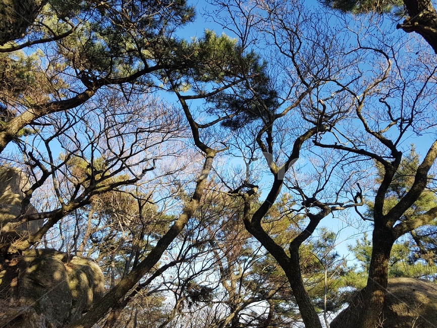 산,자연,나무,mountain,tree,nature,하늘,sky