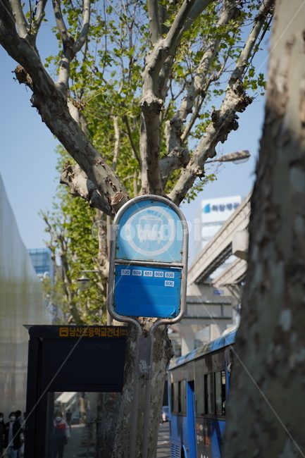 bus stop,bus,stop,station,Bus stop