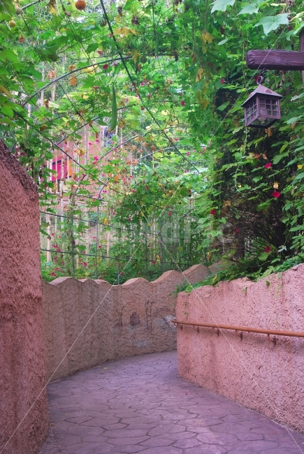 길,공원,담,담장,가로등,산책로,산책,디자인,꾸밈,장식,식물,자연,plants,nature