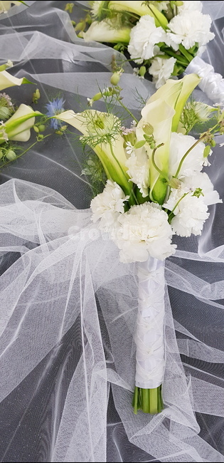 flower,신부부케,신부,꽃수업,부케,식물,plant