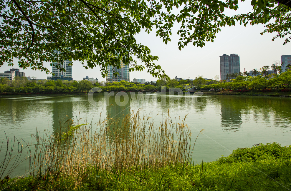 석촌호수,풍경,서울의봄,봄,랜트마크,철쭉,서울명소,꽃,공원,도시,풍경,city,landscape,water,물,nature,자연,outdoors,옥외