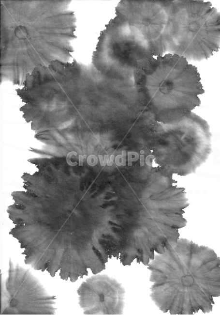캘리그라피,번짐,먹꽃,꽃,먹번짐,배경화면,먹그림,붓,calligraphy,smudges,inkflowers,flowers,inksmudges,backgroundpictures,inkpictures