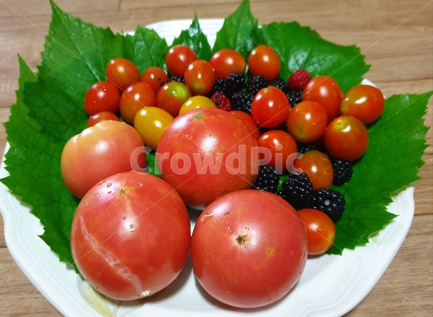 자연,과일,연출,여름,토마토
