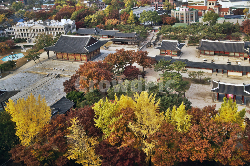덕수궁,궁궐,가을,계절,서소문,도심,중화전,한국전통,한국문화,korean traditional,korean culture