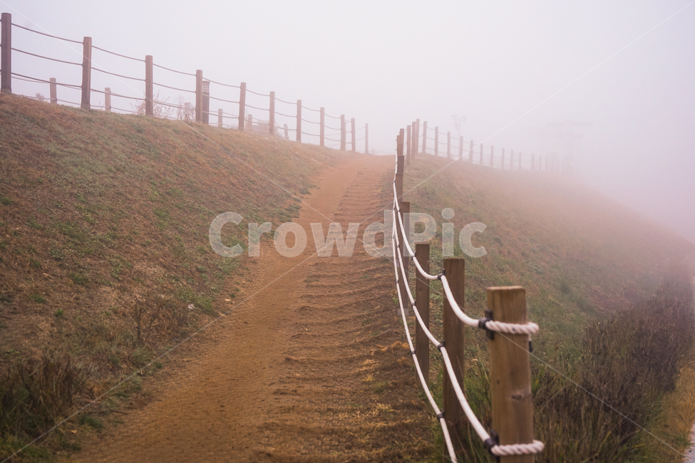 길,오르막,제방,둑,가이드,밧줄,경계,언덕길,안개,자연,풍경,nature,landscape