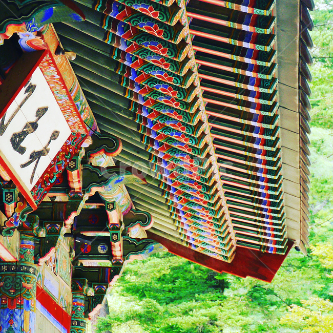 오대산,월정사,절,전통,한국,temple,지붕,배경
