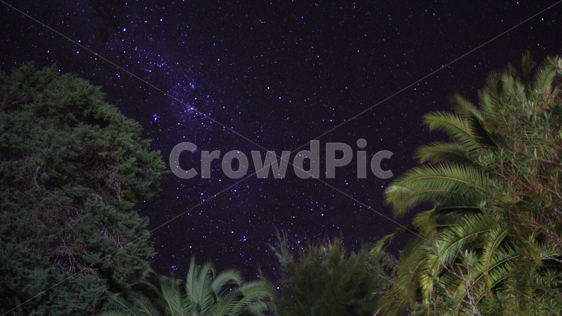 별,나무,밤하늘,밤,오로라,은하수,야경,밤,풍경,nightscape,night,landscape,nature,자연,outdoors,옥외