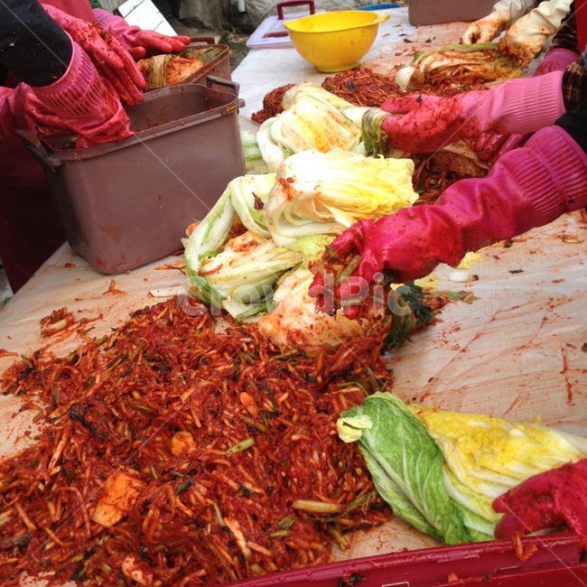 김치,김장,배추,무,김치양념,양념,고추,협동,시골,무채,무양념,김장철,겨울