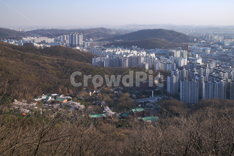 모락산,경기도,의왕시,도심풍경,도시,건물,군포시