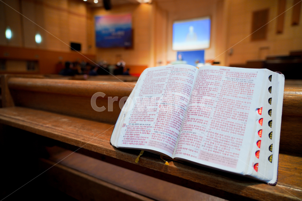 성경,책,마태복음,교회,종교,의자,찬양,기도,말씀,묵상,독서,신학,신앙심,기독교,예배,비어있는,실내