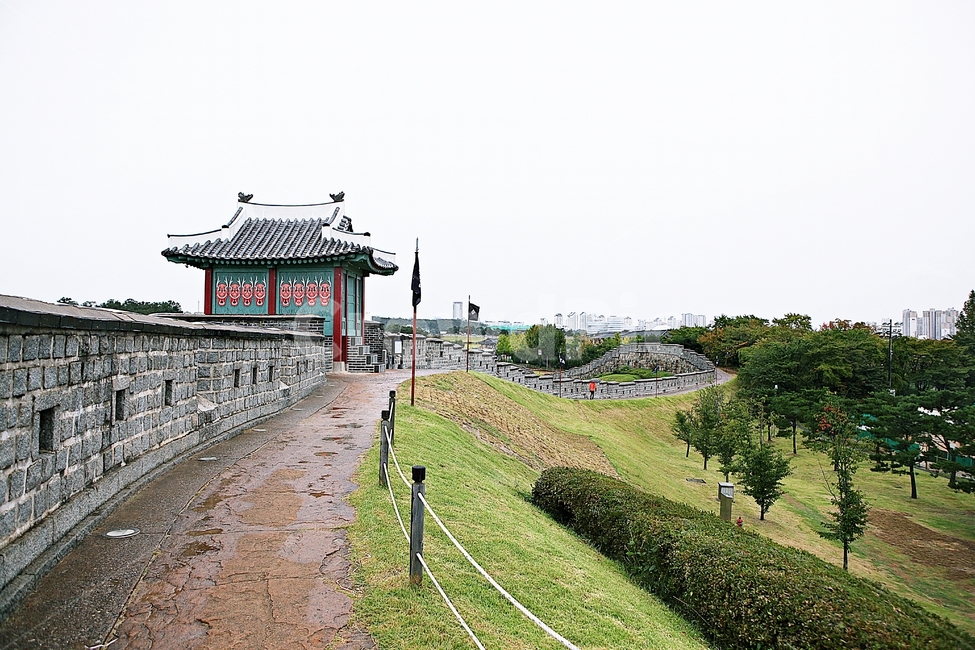 수원화성,성,성곽,길,둘레길,돌담,담,가을,자연,풍경,벽,방어벽,흙담,식물,전통,한국전통,한국문화,korean traditional,korean culture