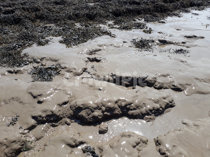 갯벌,mud,진흙,coast,해안,자연,풍경,nature,landscape