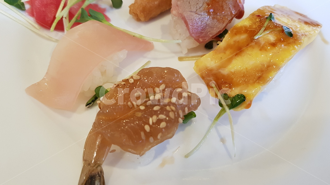 초밥,새우,무순,스시,접시