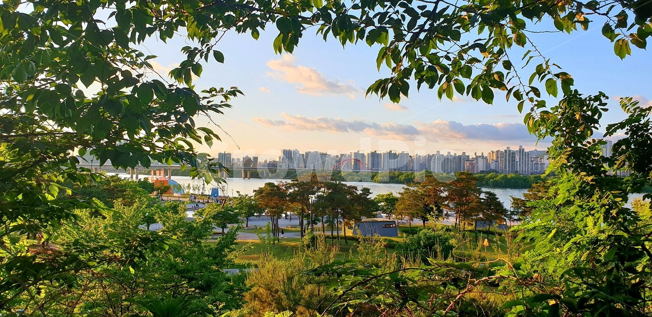 한강,여의도,다리,일몰,하늘