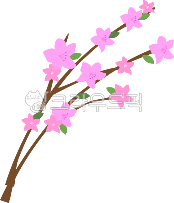 진달래,철쭉,plant,식물,flower,blossom,꽃,봄꽃,분홍꽃,분홍색,pink,spring,예쁜꽃,봄식물,꽃그림,자연,nature,꽃잎,꽃일러스트,꽃이미지,계절,플로랄,장식,디자인소스,플로랄디자인,봄꽃그림,꽃밭,자연물,환경구성