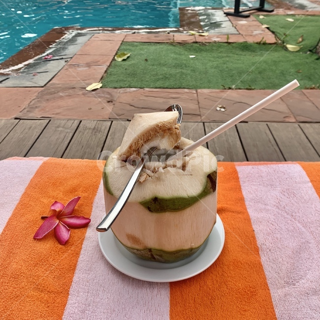 코코넛,coconut,음료,휴식,여름,리조트,resort,식물