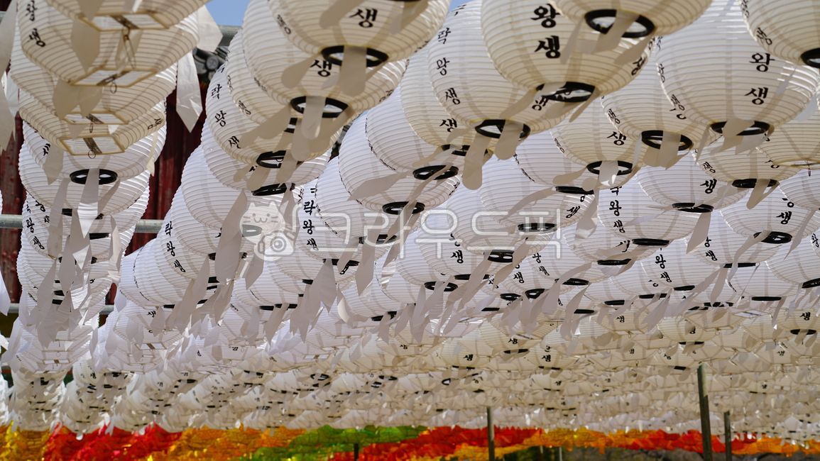 연등,봉축등,소원등,불교연등,lantern,제등,등