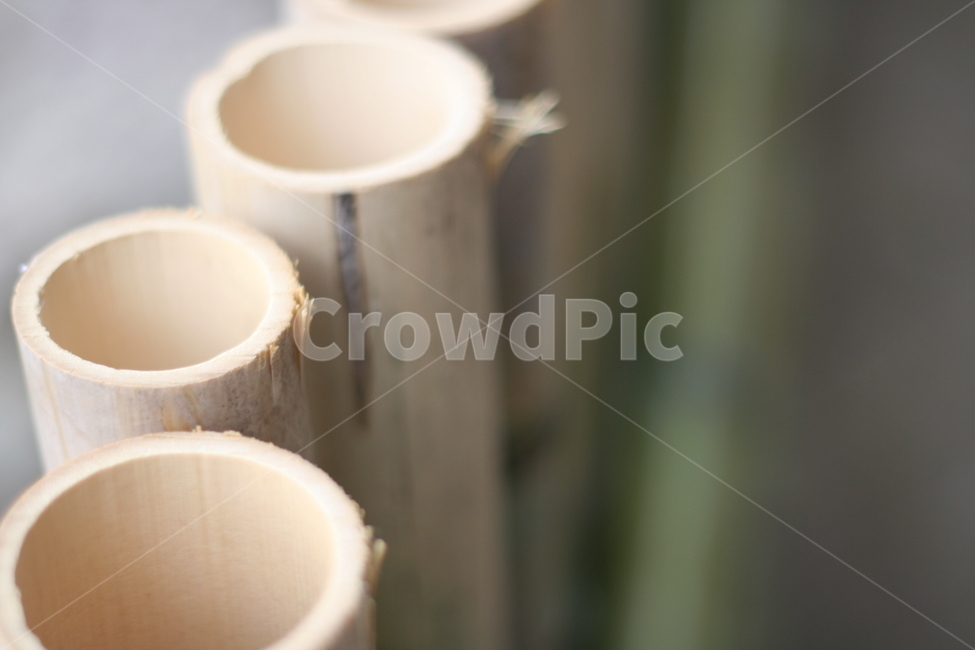 대나무통,대나무,대나무난간,배경,통대나무,나무,trees,wood
