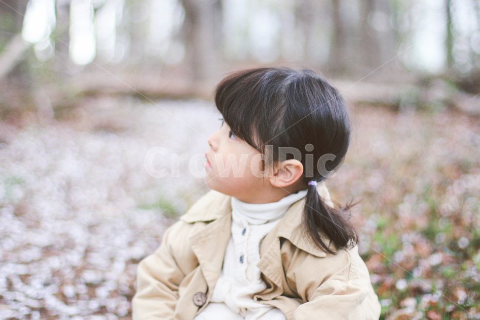 벚꽃,벚꽃놀이,귀여운아기,이쁜아기,봄,딸,koreababy,벚꽃눈,사람,인물,인간,human,person,어린이,어린아이,child,children,kid