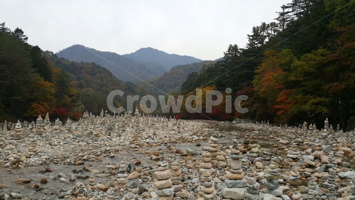 설악산,가을풍경,가을날씨,가을하늘,설악산풍경,나무,자갈,단풍구경,단풍,자연,물