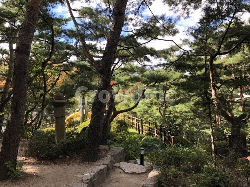 나무,돌,공원,풀,울타리,자연,풍경,nature,landscape,outdoors,옥외,garden,정원,arbour,정자,flagstone,판석